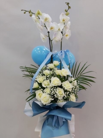 Mavi Balonlu Orkide